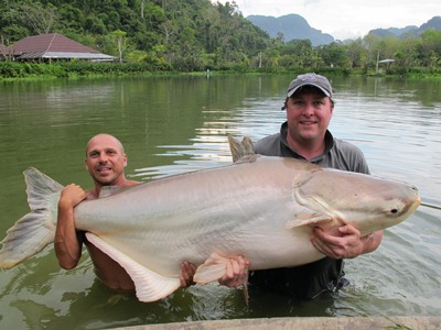 Mekong Catfish 140lb